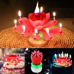 Lotus shaped rotating birthday candle with 8 small candles & Happy Birthday songParty