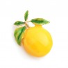 Yellow lemon - enamel gold broochBrooches