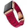 bracelet en résine pour bracelet de montres de pomme bracelet bracelet bracelet pour iwatch - 4/3/2 bandes iwatch rose boucle en