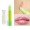 Balme de lèvres éclaircissante - nourrissant - couleur de changement de température lip gloss