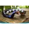 RC Cobra - serpent - USB - télécommande - robot animal - jouet