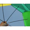 Five-pointed star - colourful kiteKites