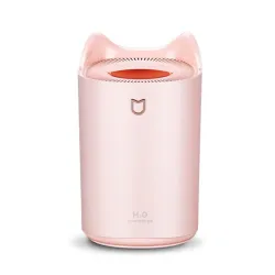 Humidificateur d'air - 3000ML - Double buse - Cool Mist - Colorful LED