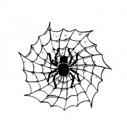 Spider sur une toile d'araignée - auto sticker