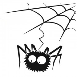 Spider web with a spider - vinyl car stickerStickers