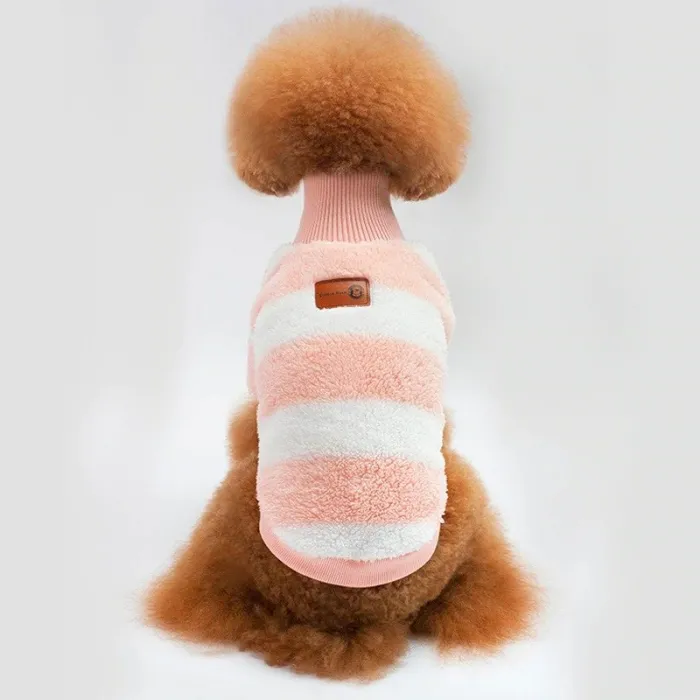 Pull d'hiver pour chiens / chats - rayures design
