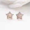 Crystal snowflakes - rose gold earringsEarrings