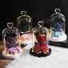 Rose éternelle préservée avec ours en verre - LED