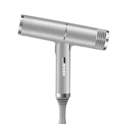Sèche-cheveux professionnel- ionique - gris - 220V