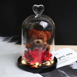 Rose éternelle préservée avec ours en verre - LED