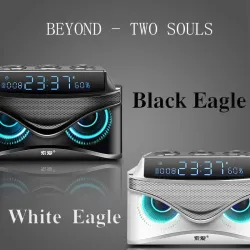 S68 - wireless bluetooth speaker - 19W - stereo - support TF card