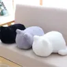 Cute cat stuffed toy - pillow - decoration