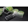 Fruits slices shaped string light - battery powered / USB - lemon / lime / orangeLights & lighting