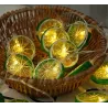 Fruits slices shaped string light - battery powered / USB - lemon / lime / orangeLights & lighting