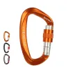 Buckle - carabiner - climbing safety equiment - rock climbing