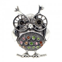 Retro big eyes owl - brooch with crystal decorationsBrooches