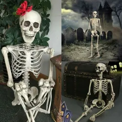 Human skeleton - Halloween decoration - 40cm