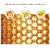 Aloe vera lip balm - color changing lipstick - moisturizing / long lastingLipsticks