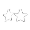 Hoop earrings for women - silver - gift