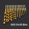 Daniu high speed drilling bit set - 13 pieces - 1.5 / 6.5mm - high speed - titanium coated