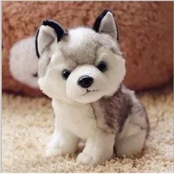 Chien Husky - peluche - 18cm