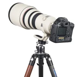 PB40 - tripod ball head - double panoramic - low profile - 360 degree rotatable - for DSLR cameras