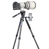 AS80C - carbon fiber tripod - professional camera holder / adapter
