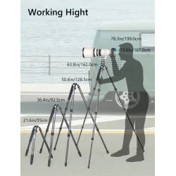 AS80C - carbon fiber tripod - professional camera holder / adapter