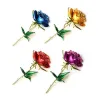 Elegant brooch - enamel rose