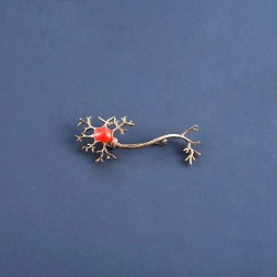 Medical neuron gene - with red stone - brooch