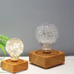 Modern LED night light - USB - copper wire string bulb