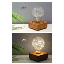 Modern LED night light - USB - copper wire string bulb