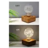 Modern LED night light - USB - copper wire string bulb