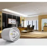 LED ceiling light - rotatable - dimmable - COB - CREE chip - 9W / 12W / 15W / 18W / 20W / 24WCeiling lights