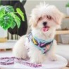 Dog harness - leash with buckle - colorful printing