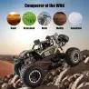 RC car - 4WD Off-road Buggy - 2.4G remote control - 1:8 - 50cm