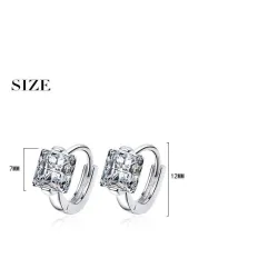 Luxurious small round earrings - with crystal - 925 sterling silverEarrings