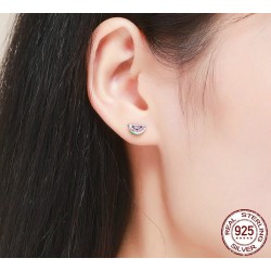 Stud earrings with watermelons - 925 sterling silverEarrings