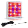 Plant grow lamp - LED hydroponic panel - 300W / 600WGrow Lights