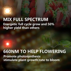 Lampe LED de culture de plantes - tableau quantique - spectre complet - hydroponique - étanche - 1000W