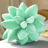 Oreiller décoratif en peluche - cactus succulent