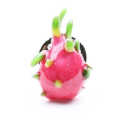Fashionable brooch with a dragon fruit