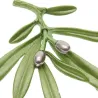Broche élégante avec olive verte