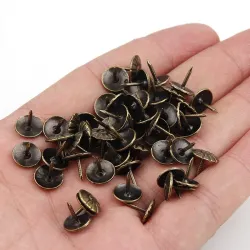 Antique brass - upholstery nails - decorative tack stud push pins - 100 piecesFurniture
