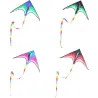 Large delta kite - single line - with handle - easy to flyKites