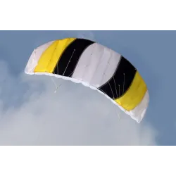 Cerf-volant de plage de sport coloré - 1,4 m double ligne