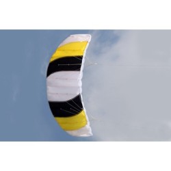 Cerf-volant de plage de sport coloré - 1,4 m double ligne