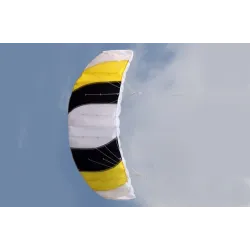 Cerf-volant de plage de sport coloré - 1,4 m double ligne