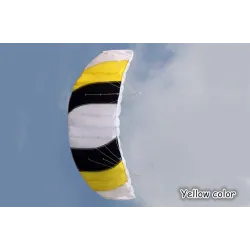 Cerf-volant de plage de sport coloré - 1,4 m double ligne