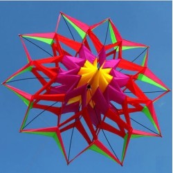Cerf-volant sport / plage - fleur 3D - avec poignée / ligne